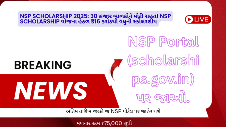 NSP Scholarship 2025: 30 હજાર બાળકોને મોટી રાહત! NSP Scholarship યોજના હેઠળ ₹16 કરોડથી વધુની સ્કોલરશીપ