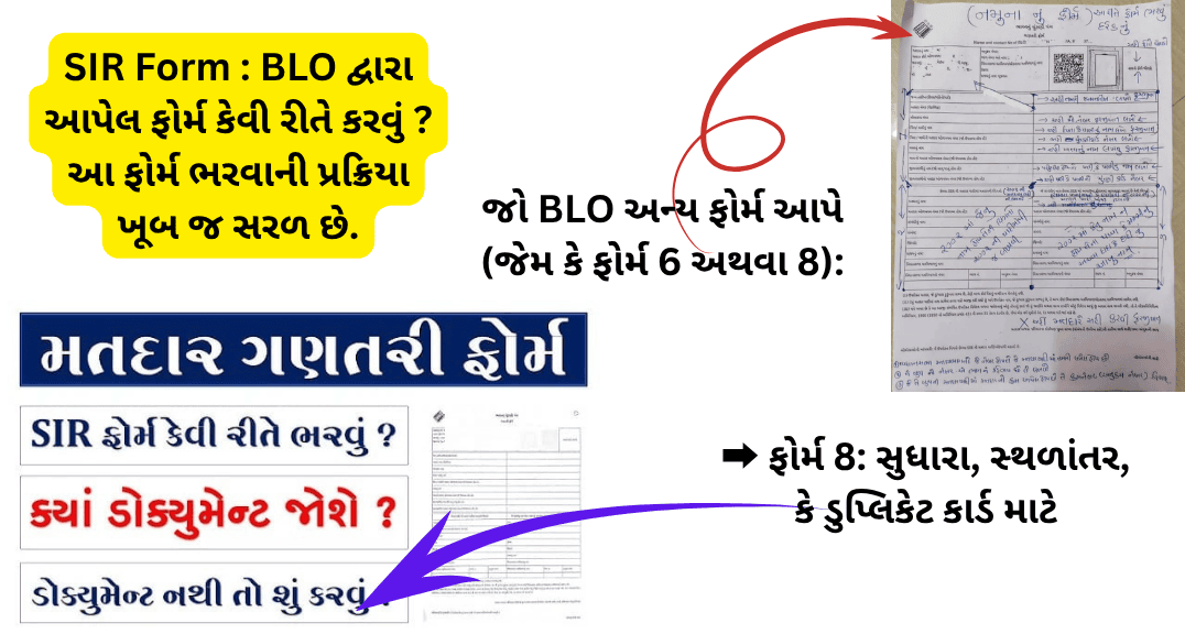 SIR Form : BLO દ્વારા આપેલ ફોર્મ કેવી રીતે કરવું ? આ ફોર્મ ભરવાની પ્રક્રિયા ખૂબ જ સરળ છે.